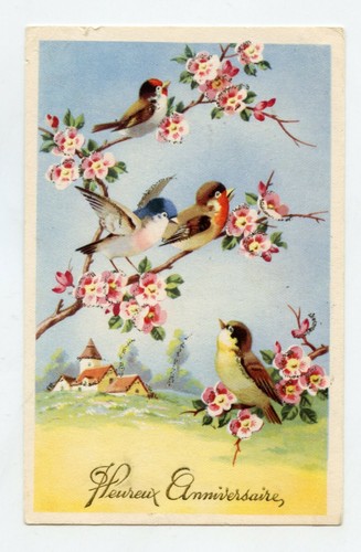 Chardonneret mésange - , et