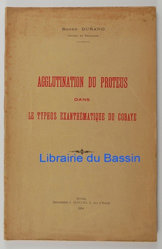 Agglutination proteus dans - du,