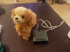 Chien téléguidé.