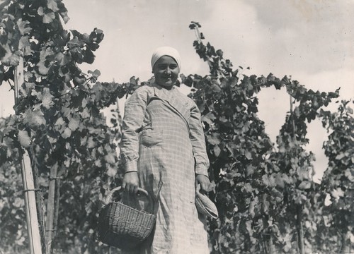 Alsace 1935 jeune - alsace,