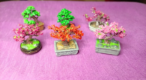 Bonzaï miniatures - bonzaï, :