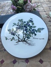 Villeroy&Boch, Support De Plaque Chauffante.Assiette.botanica
