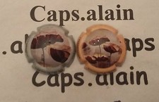 2 BELLES CAPSULES DE CHAMPAGNE