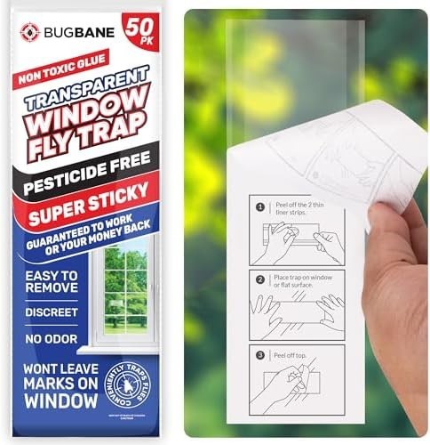 Pack window fly traps - window,