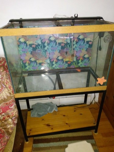 Aquarium gallon complete - gallon,