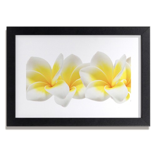 Tulup photo cadre 30x20cm - photo,