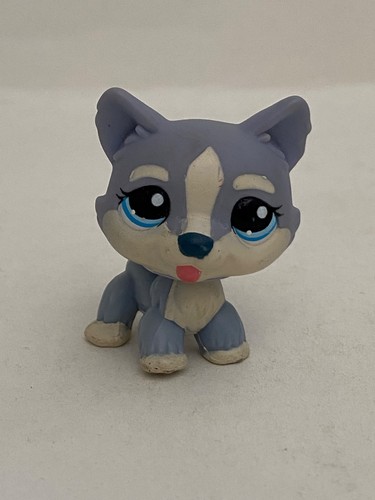 Petshop chien husky - husky,