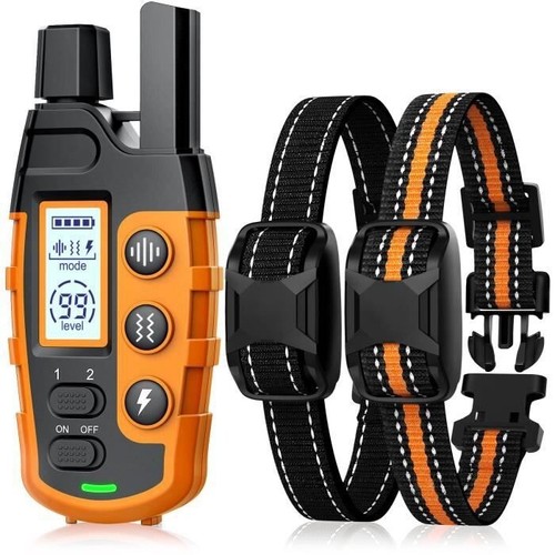 Colliers dressage chien - dressage,