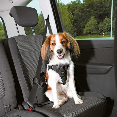 Harnais pour voiture dog - pour,