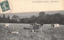 14-SAINT ARNOULT-L HERBAGE-N