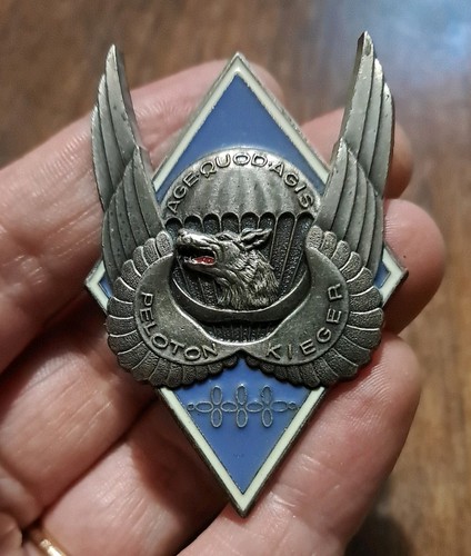 Insigne militaire parachutiste - insigne,