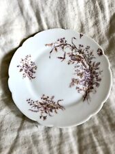 Assiette Sur Pied Porcelaine Ancienne Décor Floral, Oiseau et Libelulle