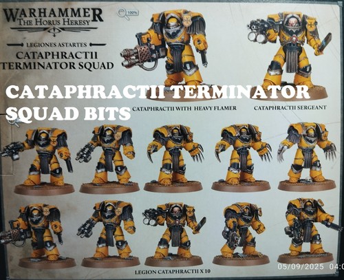 Warhammer the horus heresy - the,