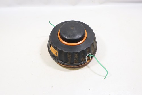 Véritable tête bobine de - tête,