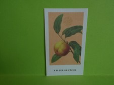 Carte pulicitaire  l'artisan