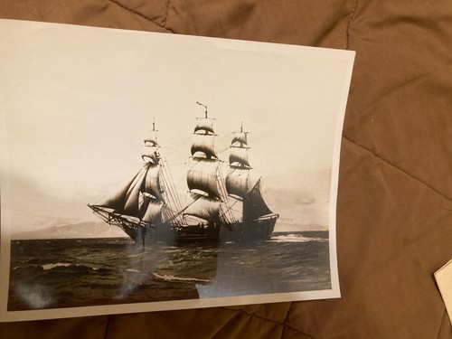 Throckmorton files hms bounty - files,