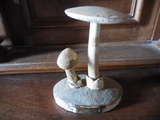 Champignons Deyrolle Pharmacie Mycologie En Platre ancien