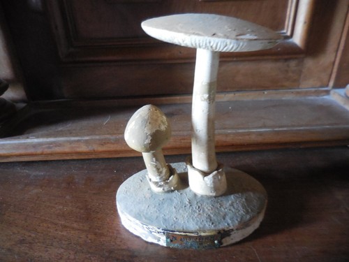 Champignons deyrolle pharmacie - champignons,