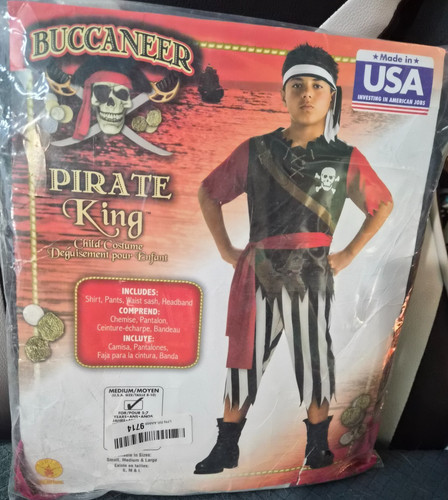 Buccaneer pirate king child - pirate,
