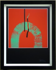 Sériegraphie Chrome Coat