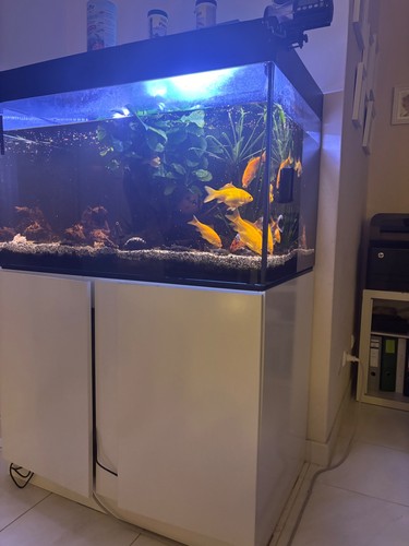 Aquarium tank 300 liters - aquarium,