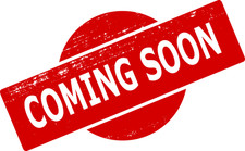 LEGO Duplo lot vrac divers