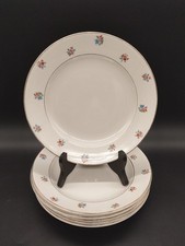 Lot 1-6 assiettes plates Sarreguemines Digoin n°5112 – Véritable opaque – Fleurs