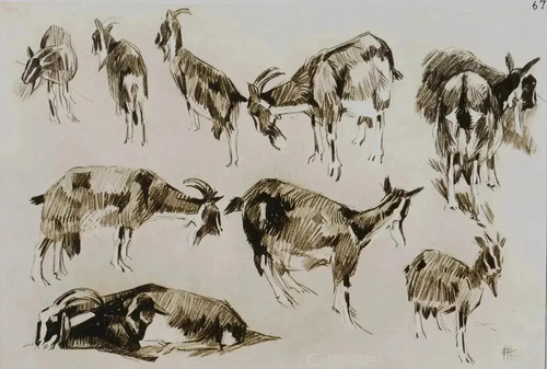 Mathurin meheut la chèvre - meheut,