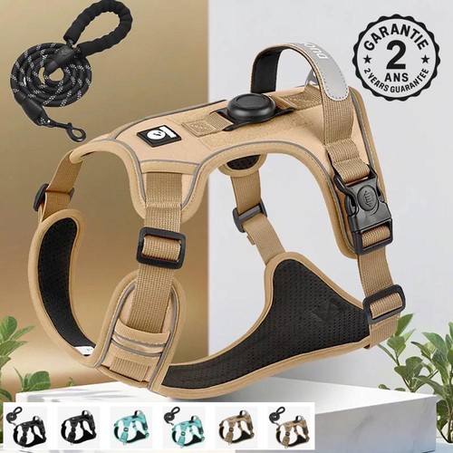 Harnais laisse pour - harnais, chien