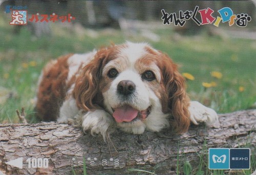 Carte japon série animal - japon,