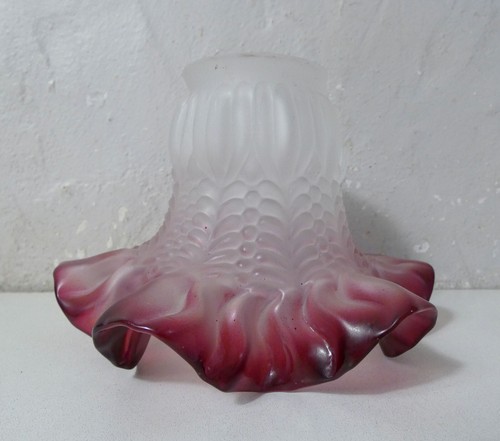 Ancienne tulipe pate - tulipe,