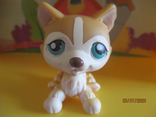 Petshop chien husky 386 - chien, /