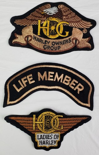 Harley davidson owners - davidson, group