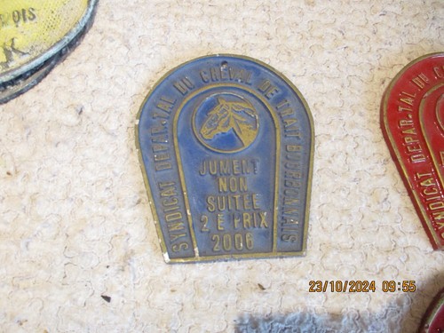 Ancienne plaque syndicat - plaque,