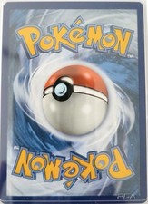 Lot Pokémon 55 cartes –