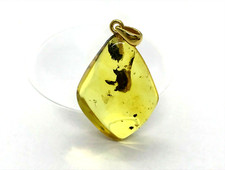 Pendentif Ambre Insecte Cadeau