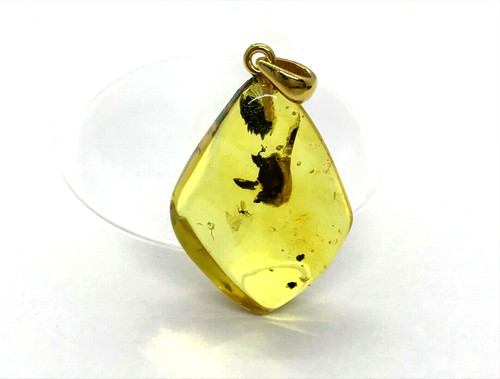 Pendentif ambre insecte - pendentif, cadeau