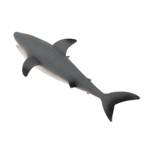 Réaliste modèle requin - réaliste,