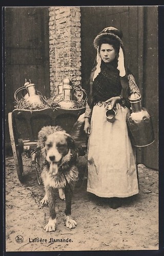 Chien tire une charrette - le,