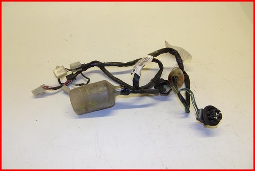 Honda cbr 1100 2002 - honda,