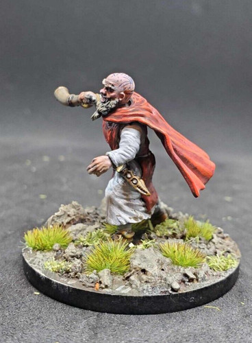 28mm viking priest - , (pro
