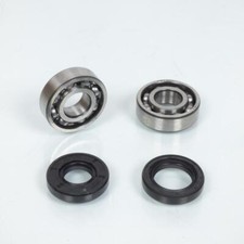 Roulement et joint spi de