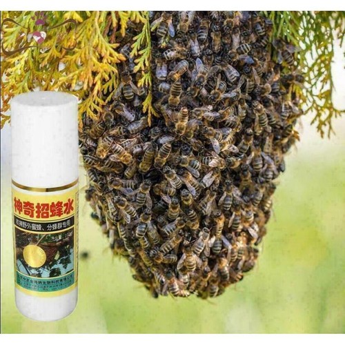 Outil ruche secret - outil,