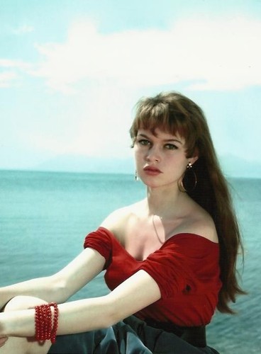 Brigitte bardot photo - brigitte,