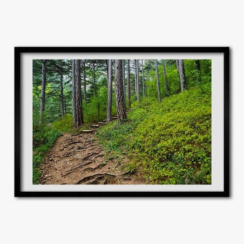 Tulup photo cadre - 100x70cm, le