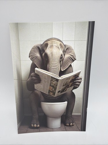 Affiche humoristique elephant - affiche,