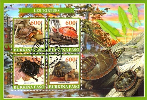 Bloc 2019 utilisé tortues - utilisé,