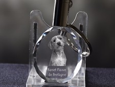 Basset Fauve De Bretagne