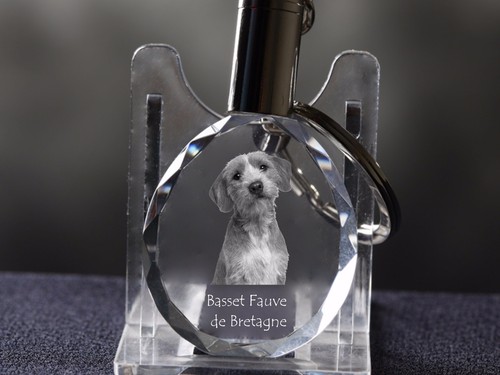 Basset fauve bretagne - basset, de