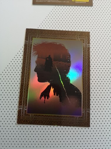 Harry potter panini brilliant - harry,